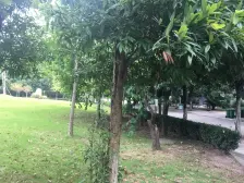 杏林雅苑 4室2厅 南 北