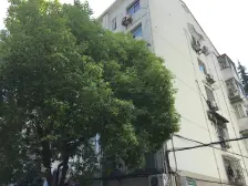 户型好,边套,南北通,近地铁,业主诚意出售