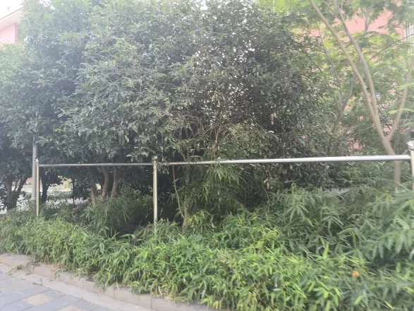 顺园八村