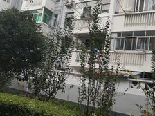 惠南·荡湾新村·2室·1厅