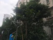 品质小区,小区中心位置,诚意出售,刚需好房