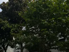 中间楼层的2房 双朝南户型 采光好