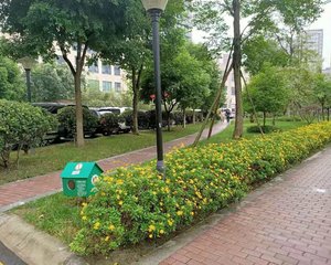 军安卫士花园2室1厅东