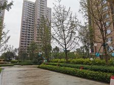 保利城四期中央郡 3室1厅 东 东南