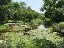 户型好,绿化宽,空气好。。。。。