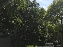 长久大厦 2室2厅 南