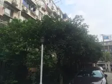 品质小区,小区中心位置,诚意出售,刚需好房