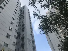 内环洋泾板块6号线地鉄 电梯房中高楼层 诚意出售