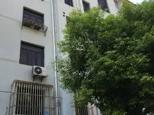 电梯洋房次顶楼、全明南北通、近15号线地铁和购物区