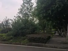 杏林雅苑 2室1厅 东南