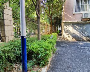 琅东十四旁烟草单位宿舍带车位和杂物房业主诚售