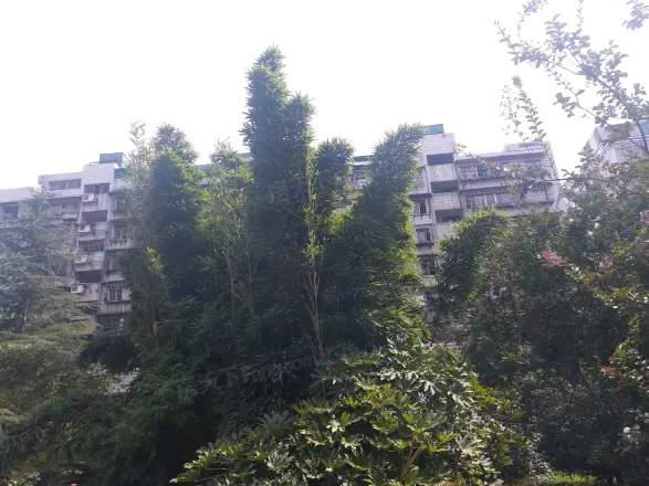 财政厅宿舍