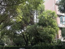 近地铁,诚意卖,看房方便