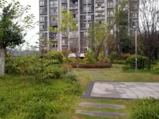 泽科3号线空港明珠 1室1厅 东南