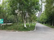 虎溪花园正4房诚心出售 低楼层带花园 大阳台