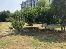 辰丰苑 1室1厅 南