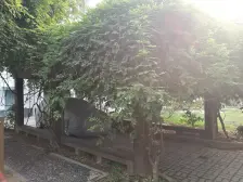 胥江·三香路449号·2室·1厅