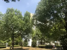 8号沿线地铁口750米+次新动迁房+好楼层清水毛坯