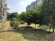 此房满五税费少南北透通户型正价格便宜,顶楼带阁楼