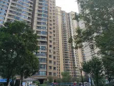 标准的一居室,阳台比较大楼层可以