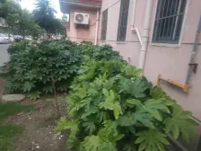 近3119号线宝山高铁北站满五视野好少税