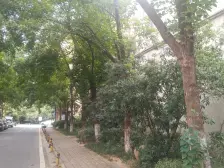 楼层采光好 纯毛胚房 户型好 全湖景房,快快把握