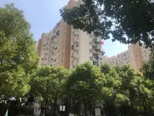 出门即召楼星天地生活广场+高区+业主诚意出