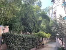 安西小区 1室0厅 南