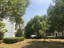 全南1室户+中间楼层+诚心出售+价格可谈,近地铁