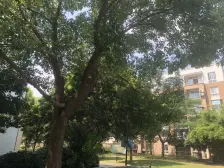 地铁700米+总价低+房龄新+诚心卖+得房率高