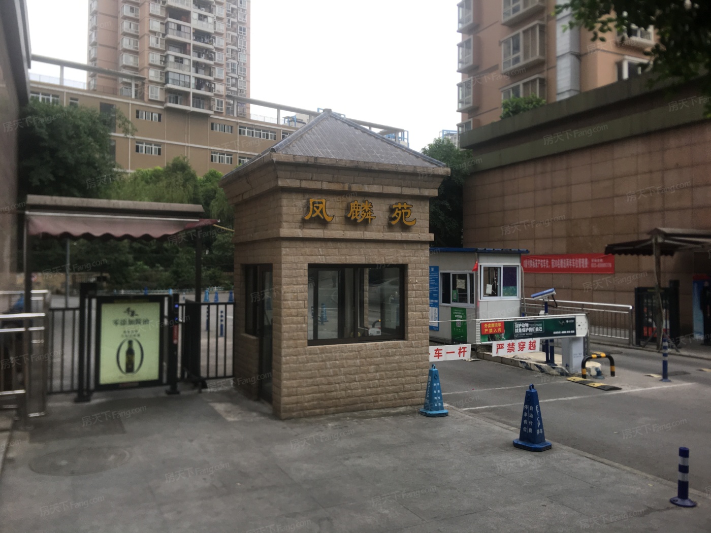 南极凤麟苑