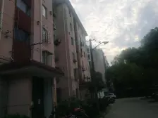 春雷路250弄 2室1厅 南