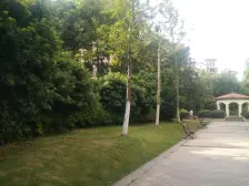 稀缺洋房,小区出入方便,环境好,临近青山湖,中间楼层,看房方