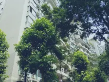 南坪东路 海棠晓月A区三房180万