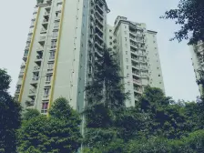 南坪东路 海棠晓月A区二房80万