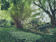 南坪东路 海棠晓月A区三房112万