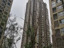 全款在手金科品质物业小区环境好交通便利配套完善