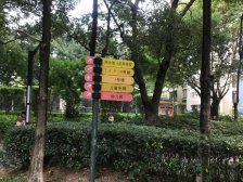 中信新天地 1室1厅 西北
