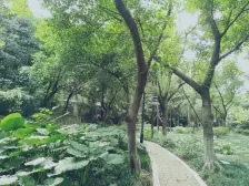 南滨路 海棠晓月 少见清水房源 正规两房视野好