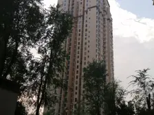 三层楼 带前后100平花园 全洋房小区 公园式小区
