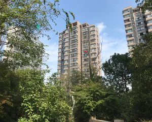 巨成广场金山街南北通透,采光好装修好,环镜优美视野好,诚心出售