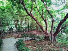 业主自己从新装修过的 装修比较新