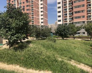锦绣好家商品房面积大低总价阁楼全天采光