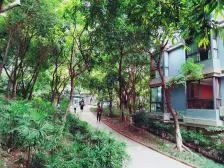 南滨路 品质大3房 大阳台 精装修 朝小区且看江