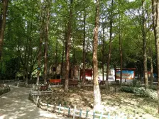 业主安心出售,随时看房,楼层好,采光好