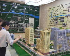 电梯两居室,适合刚需,观德信公园美景