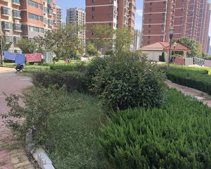 锦绣好家2室1厅南