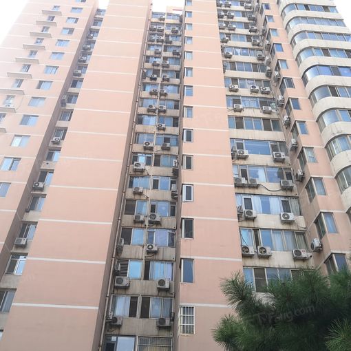 莲香园3室1厅1卫北朝向8000.00元/月出租