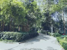 南坪东路 海棠晓月A区二房80万