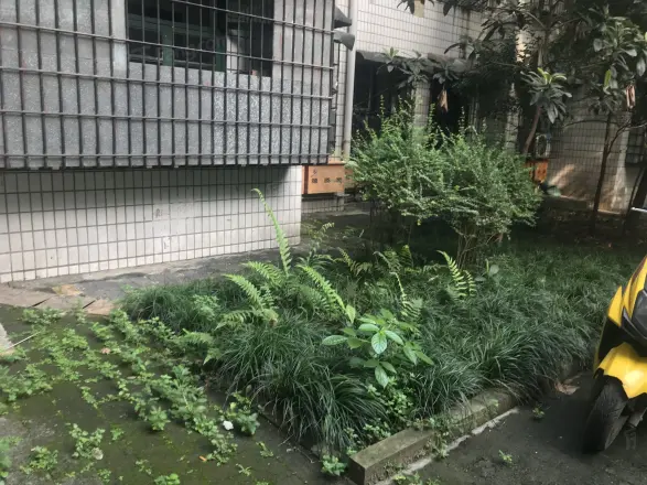 大石坝八村